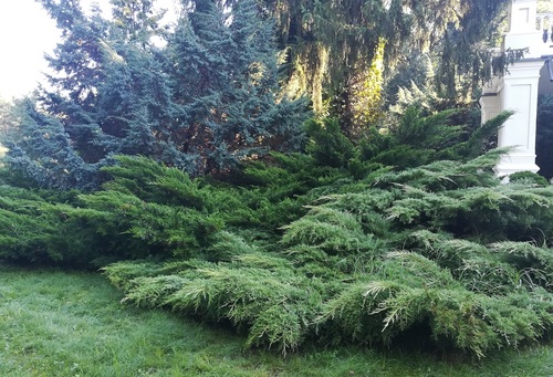 inwestycja w ogród